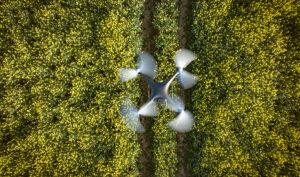 Dron multiespectral: qué es y cómo detecta problemas en tus cultivos